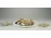 Régi kagyló csiga tengeri kőzet csomag