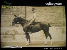 Antik képeslap katonatiszt lovon 1912