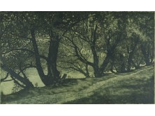 Szennik György : "Horgászösvény" 1968