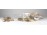 Régi kagyló csiga ásvány gyűjtemény 1.5 kg