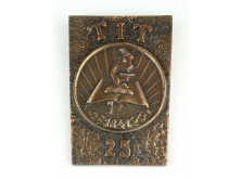 Tudományos Ismeretterjesztő Társulat 1841 TIT 25 bronzozott relief