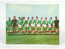 Régi Fradi FTC Sportpropaganda fotó relikvia 1967 bajnokcsapat 18 x 23 cm