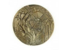 MTESZ nagyméretű bronzplakett 1981