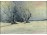 XX. századi festő Seres jelzéssel : Téli táj madarakkal 