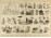 Oszkár Schneider képes atlasz III. tábla 42.5 x 54.5 cm