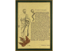 Keretezett Hippokratészi eskü angol szövege 38 x 28 cm