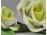 Régi sérült Herendi porcelán rózsa 4 darab