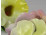 Régi sérült ritka nagyméretű Herendi porcelán virág 2 darab
