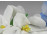 Régi sérült ritka Herendi porcelán virág 3 darab