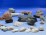 Régi kőzet kagyló gyűjtemény