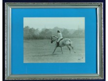 Eredeti lovas fotográfia Polner szignóval