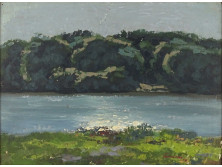 Jelzett olaj farost festmény - Folyópart 48 x 37 cm