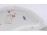Jelzett Drasche porcelán sirály 13.5 cm