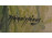 Károly János : Virágcsendélet olaj karton festmény pár 60 x 31 cm