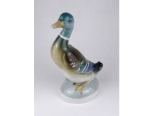 Régi nagyméretű jelzetlen porcelán vadkacsa figura 24 cm