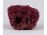 Tengeri vörös korall telep 10 x 8 x 7 cm
