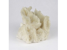 Tengeri fehér korall tömb 8 x 8 x 8 cm
