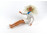 Hasbro 1994 Barbie baba