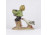 Régi Bertram porcelán figura kisfiú libával 10.8 cm