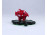 Kisméretű üveg szerencsemalac figura 5.7 cm