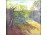 Török L : Tavaszi kert 45 x 46.5 cm