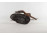 Régi római gladiátor bronzírozott szobor 28.5 cm 